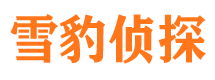 长寿侦探公司